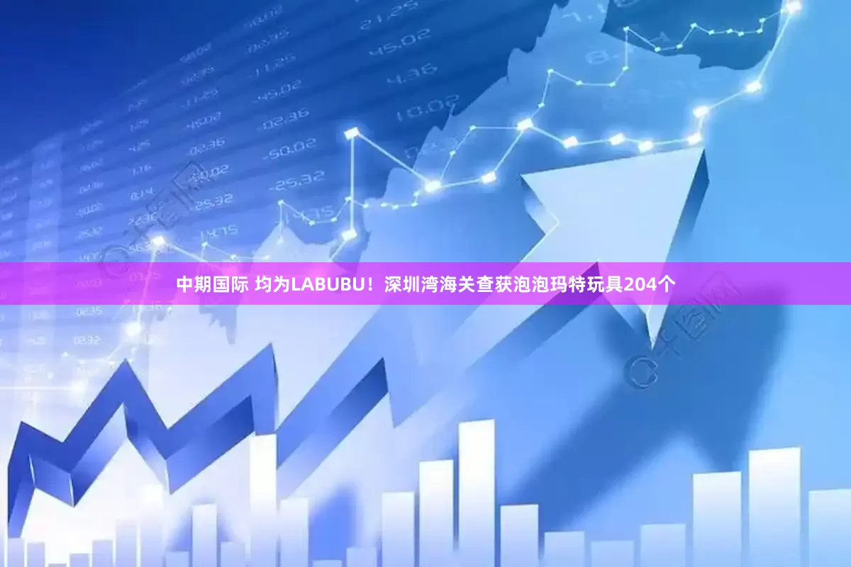 中期国际 均为LABUBU！深圳湾海关查获泡泡玛特玩具204个